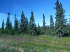 Enlarge photo 114