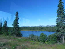 Enlarge photo 115