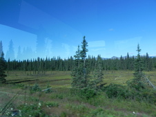 Enlarge photo 116