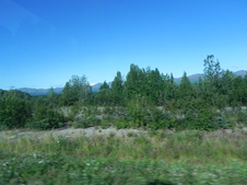 Enlarge photo 117