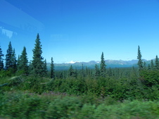 Enlarge photo 123