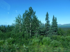 Enlarge photo 124