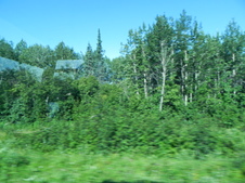 Enlarge photo 125