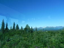 Enlarge photo 126