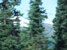 Enlarge photo 127