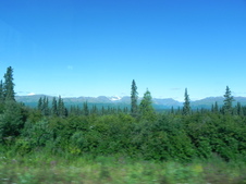 Enlarge photo 131