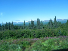 Enlarge photo 132