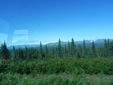 Enlarge photo 133