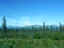 Enlarge photo 134