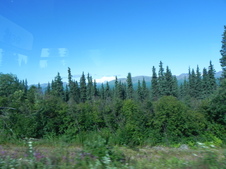 Enlarge photo 135