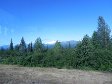 Enlarge photo 136