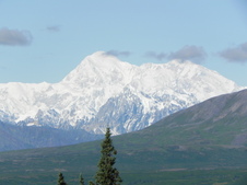 Enlarge photo 139