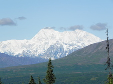 Enlarge photo 142