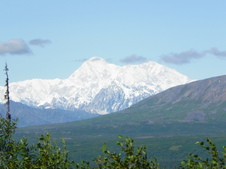 Enlarge photo 143