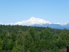 Enlarge photo 149