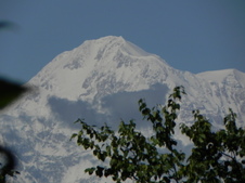 Enlarge photo 157