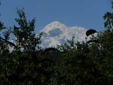 Enlarge photo 159
