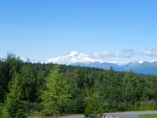 Enlarge photo 165