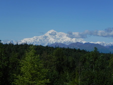 Enlarge photo 168