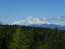 Enlarge photo 169