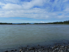 Enlarge photo 175