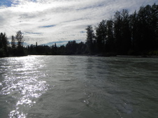 Enlarge photo 195