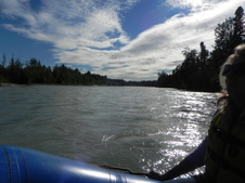 Enlarge photo 197