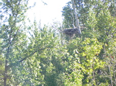 Enlarge photo 198