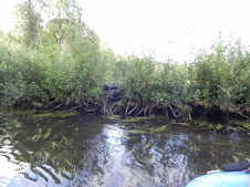 Enlarge photo 199