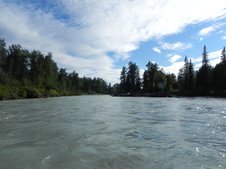 Enlarge photo 203