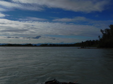 Enlarge photo 205