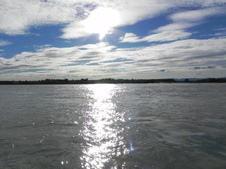 Enlarge photo 207