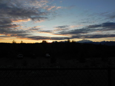 Enlarge photo 220