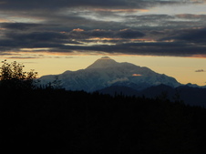 Enlarge photo 221
