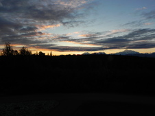 Enlarge photo 223