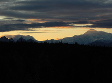 Enlarge photo 230