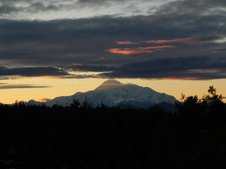 Enlarge photo 231