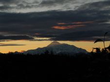 Enlarge photo 232