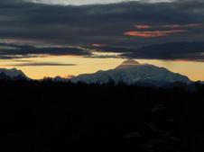 Enlarge photo 233