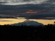 Enlarge photo 235