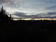 Enlarge photo 236