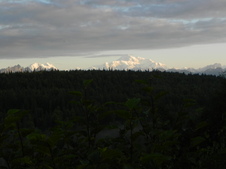 Enlarge photo 237