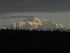 Enlarge photo 238