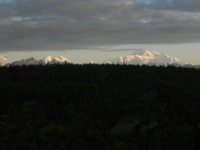Enlarge photo 239
