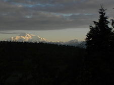Enlarge photo 240