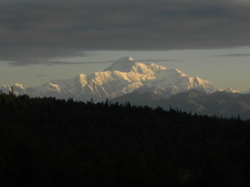 Enlarge photo 242