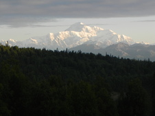 Enlarge photo 243