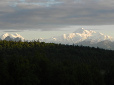 Enlarge photo 244
