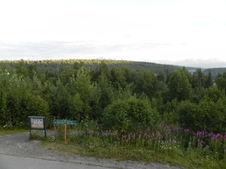 Enlarge photo 246