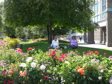 Enlarge photo 253